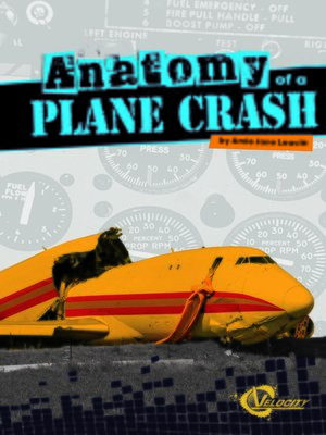 cover image of Anatomy of a Plane Crash